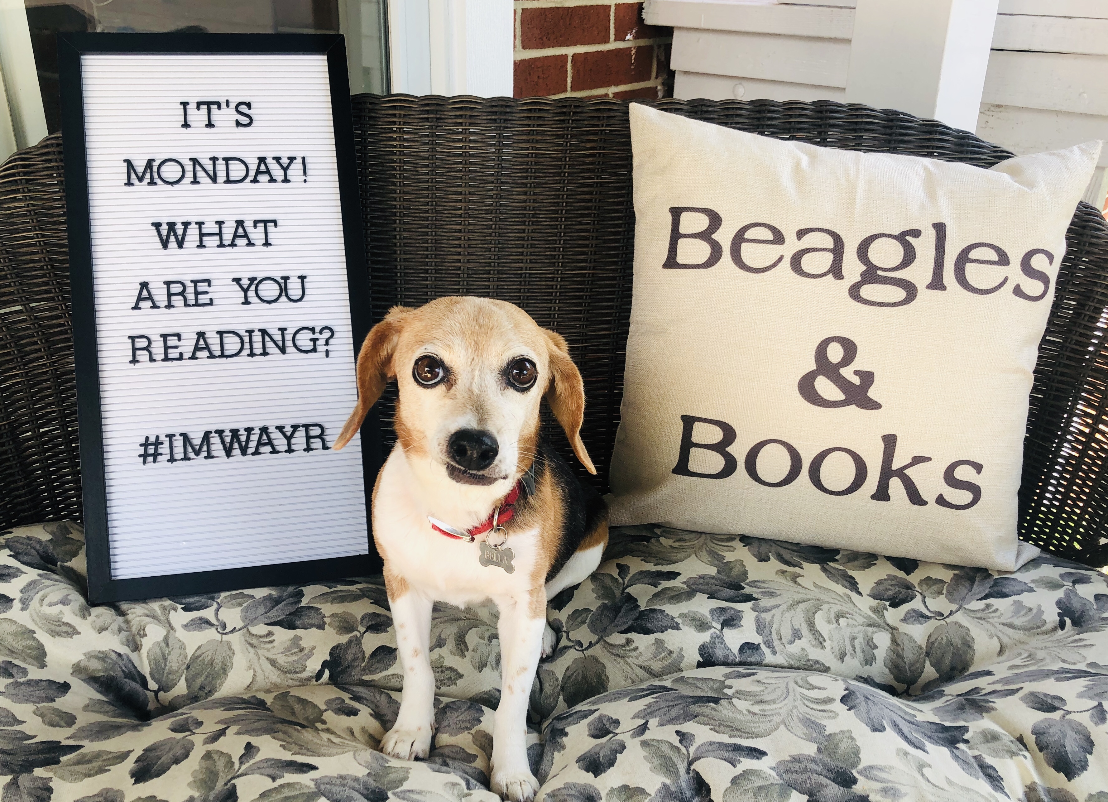Download Beagles And Books A Blog Featuring Reviews Of Children S Literature